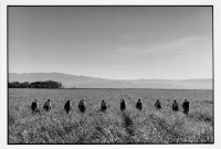 Plantation de canne à sucre / Sugar cane plantation