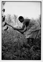 Vie quotidienne rivière Shire / Daily life on the Shire River