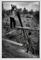 Les scieurs de long / The pit sawyers