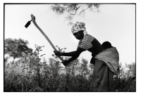Couple de planteurs de coton / Cotton planter couple