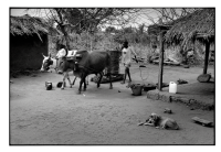 Vie en autarcie / Self-sufficient living
