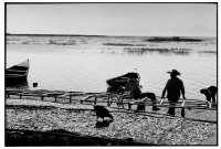 Lac Chilwa / Lake Chilwa
